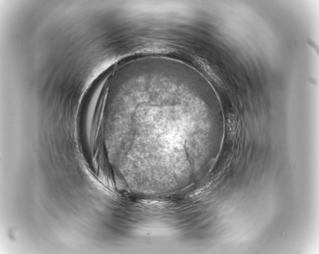 X0000093170726200710241039