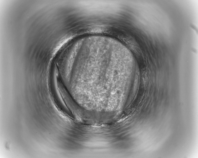 X0000093170728200710241039