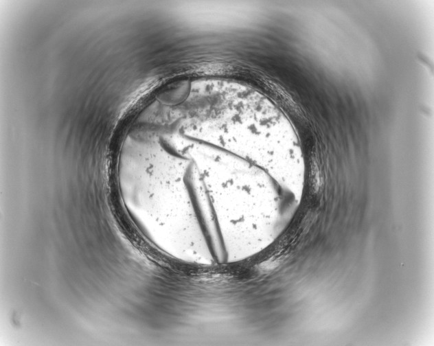 X0000093170730200710241039