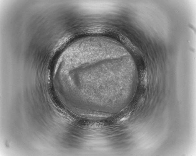 X0000093170731200710241039