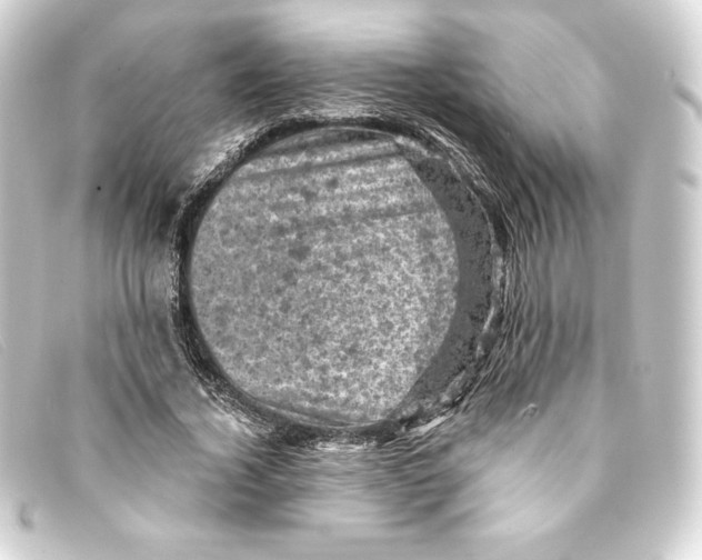 X0000093170732200710241039