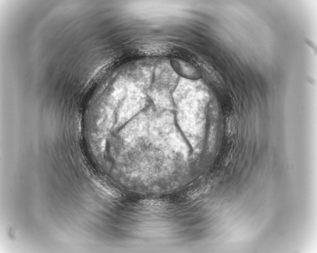 X0000093170733200710241039