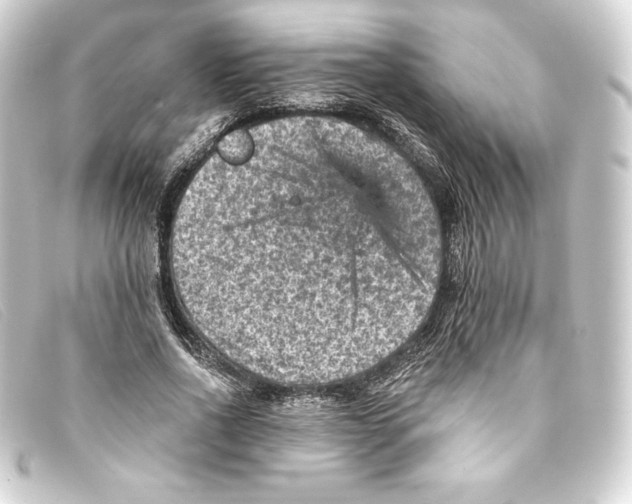 X0000093170734200710241039