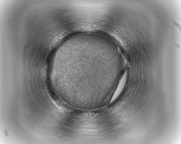 X0000093170736200710241039