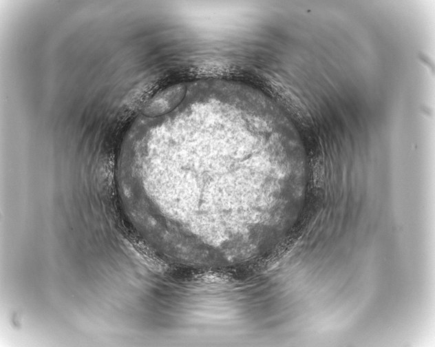 X0000093170737200710241039