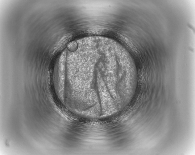 X0000093170738200710241039