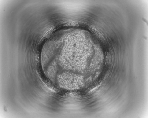 X0000093170739200710241039