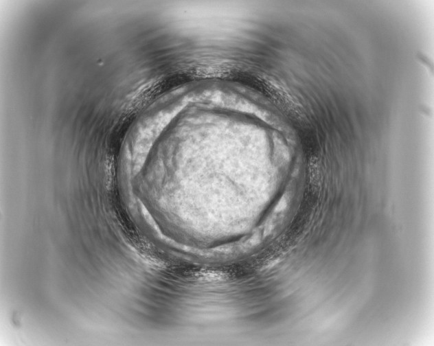 X0000093170741200710241039