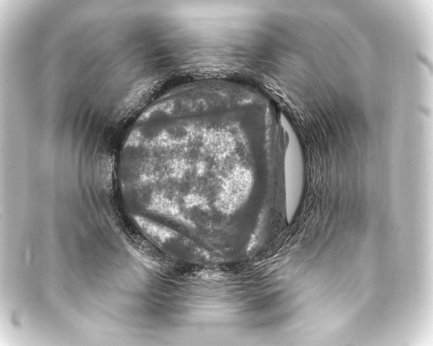 X0000093170742200710241039