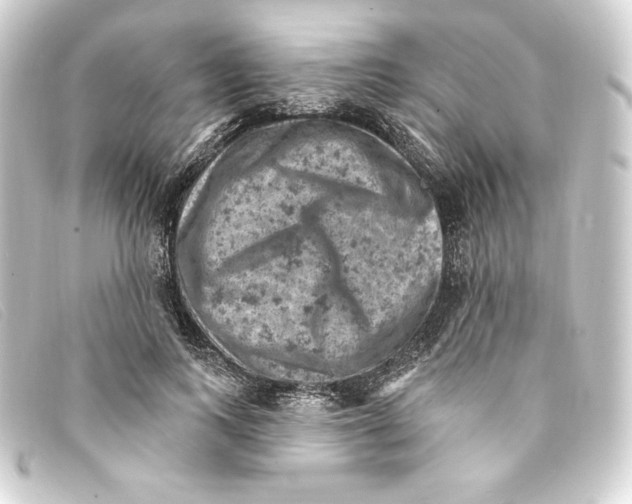 X0000093170743200710241039