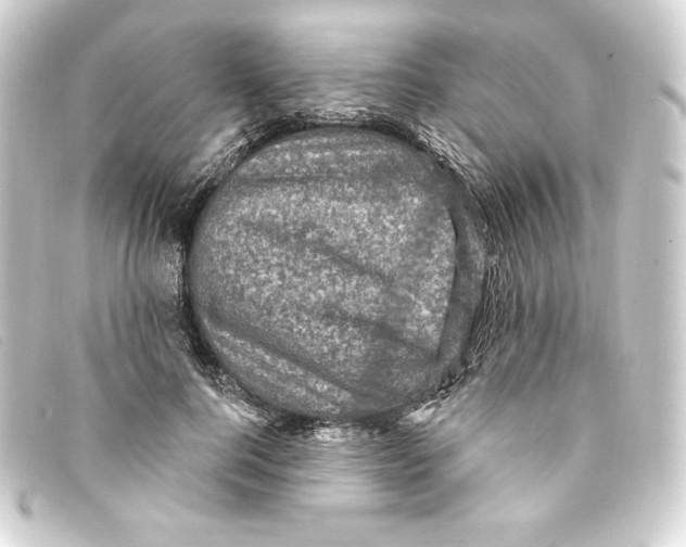 X0000093170744200710241039