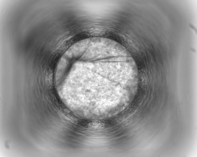 X0000093170745200710241039