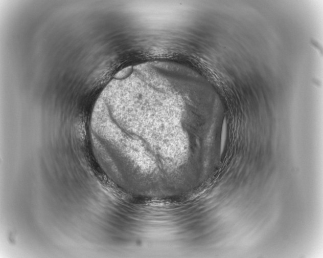 X0000093170746200710241039