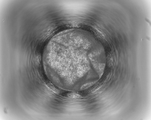 X0000093170747200710241039