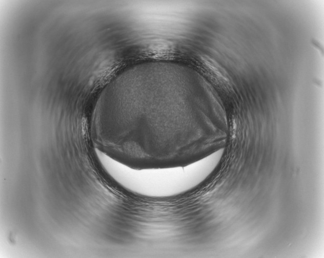 X0000093170748200710241039