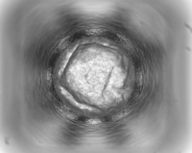 X0000093170749200710241039