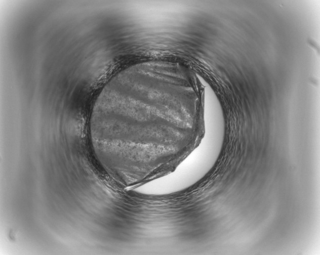 X0000093170750200710241039