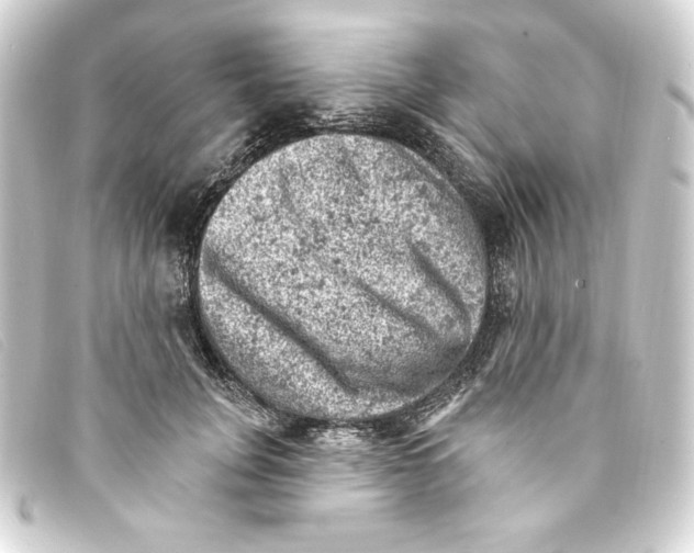 X0000093170751200710241039