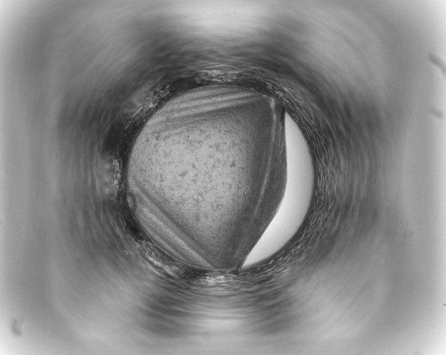 X0000093170752200710241039