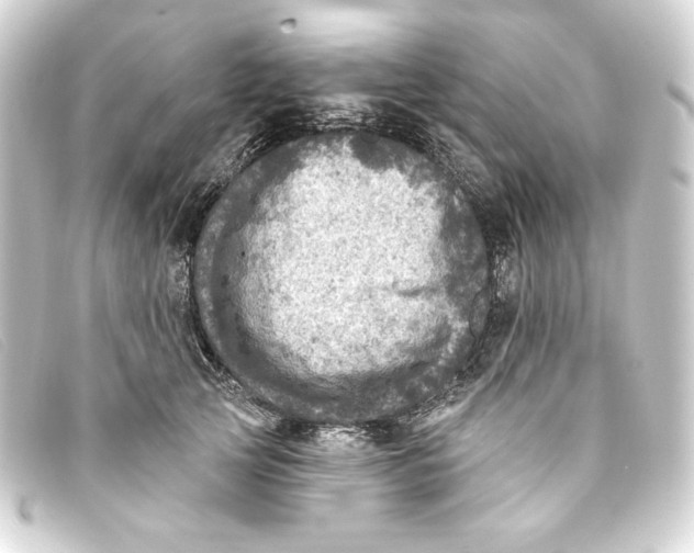 X0000093170753200710241039