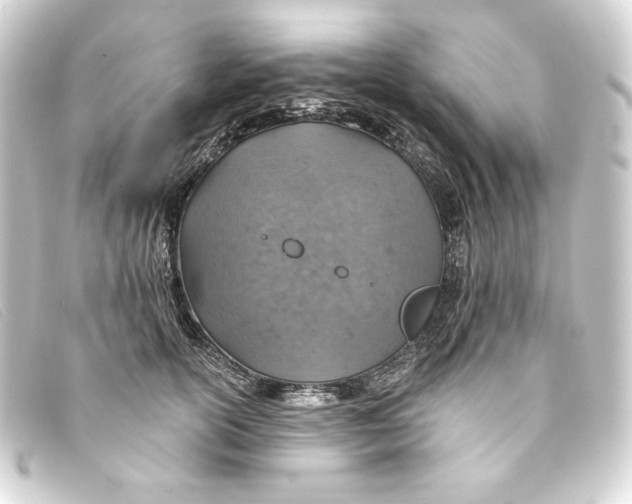 X0000093170754200710241039