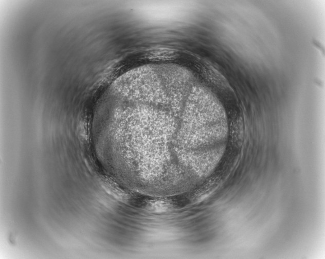 X0000093170755200710241039