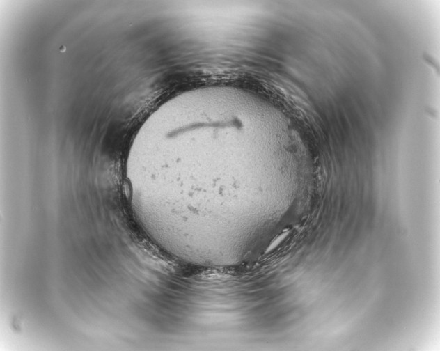 X0000093170756200710241039