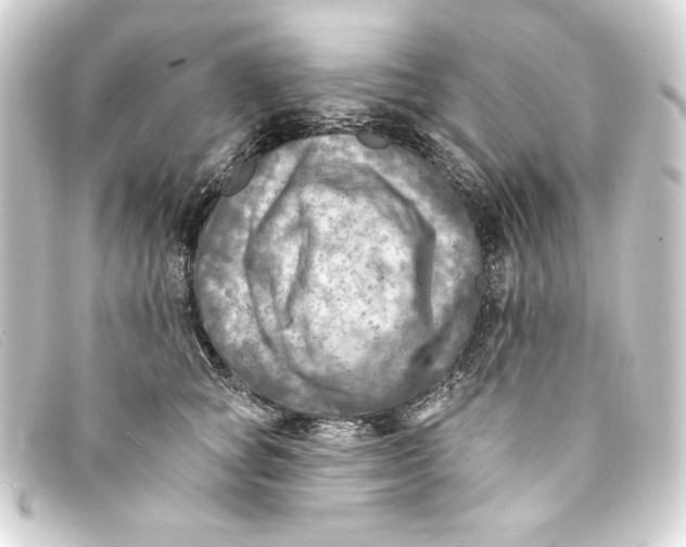 X0000093170757200710241039