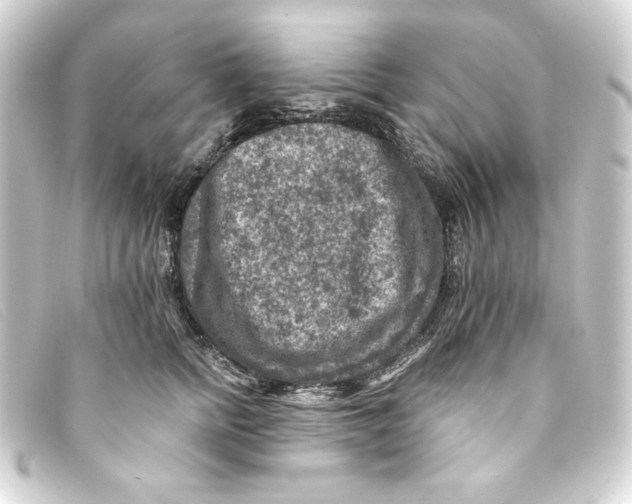 X0000093170758200710241039