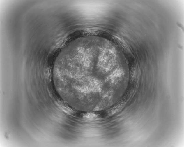 X0000093170759200710241039