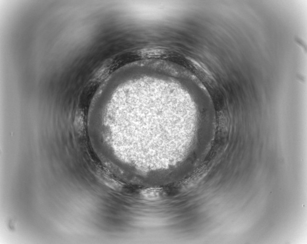 X0000093170761200710241039