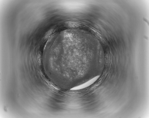 X0000093170762200710241039