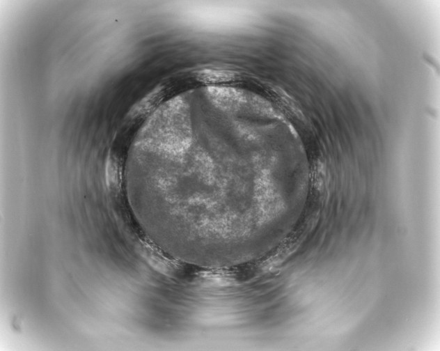 X0000093170763200710241039