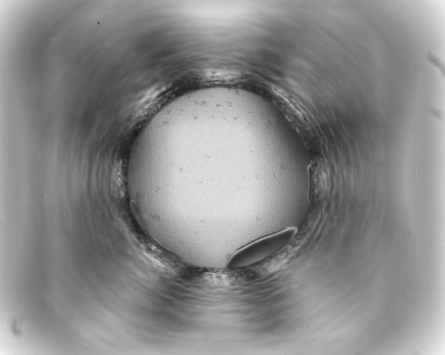 X0000093170764200710241039