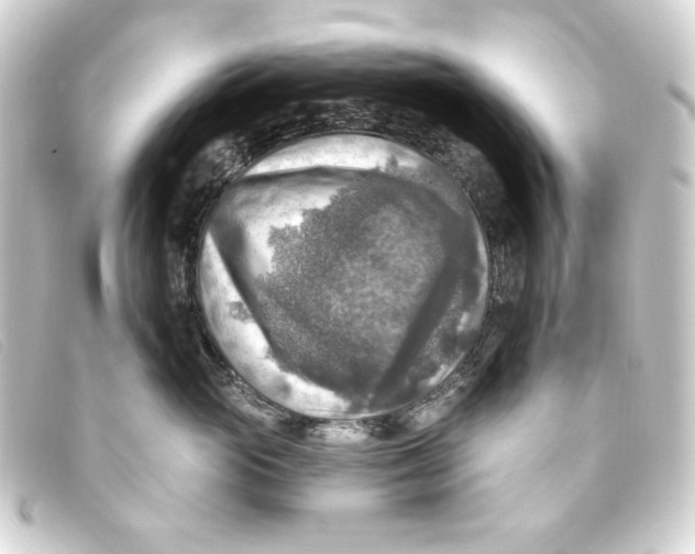 X0000093170765200710241039