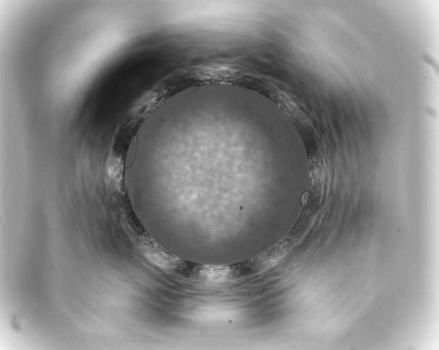 X0000093170767200710241039