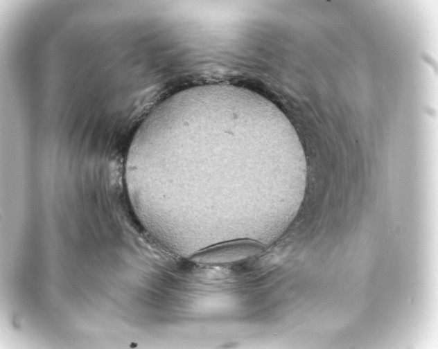 X0000093170768200710241039