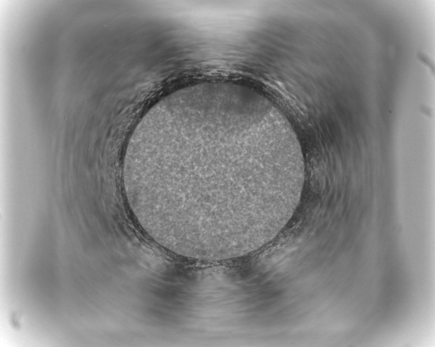 X0000093170769200710241039