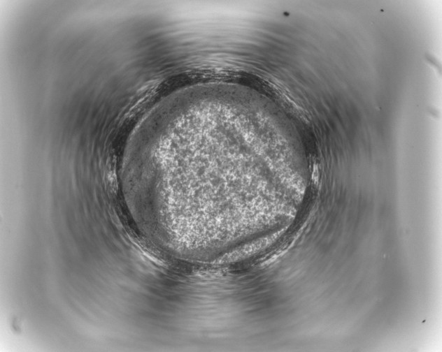 X0000093170771200710241039