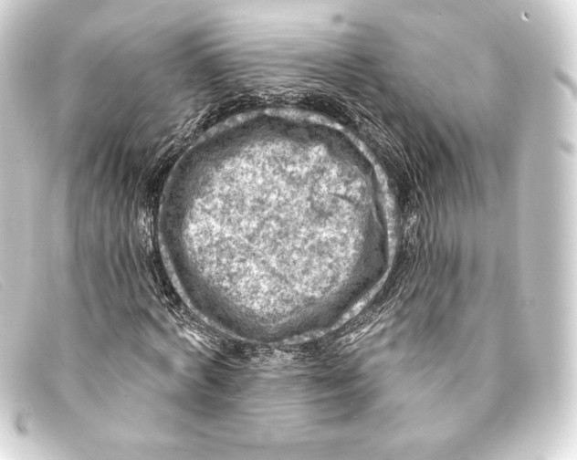 X0000093170772200710241039