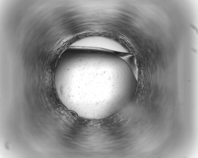 X0000093170773200710241039