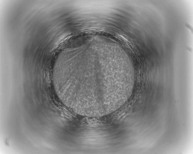 X0000093170774200710241039