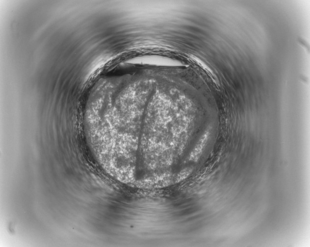 X0000093170775200710241039