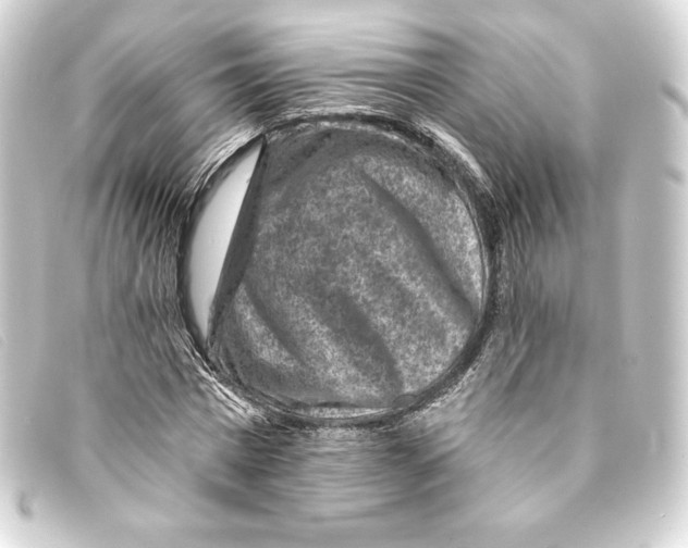 X0000093170777200710241039