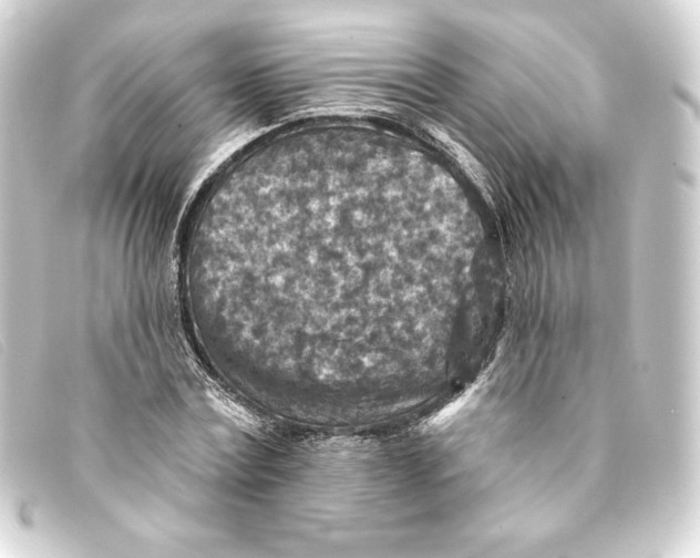 X0000093170779200710241039