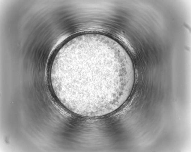 X0000093170780200710241039