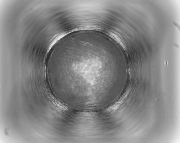 X0000093170781200710241039