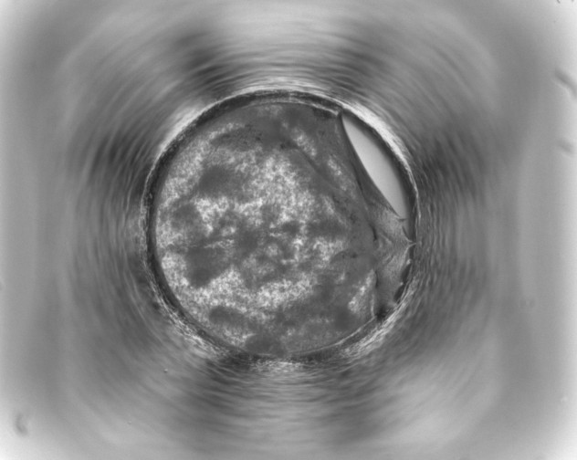 X0000093170783200710241039