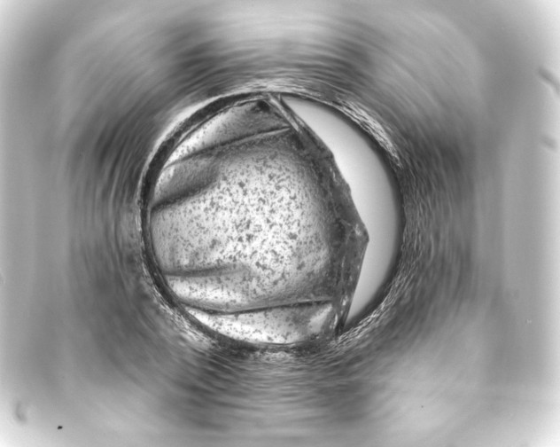 X0000093170784200710241039