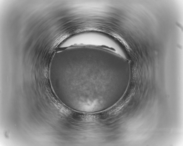 X0000093170785200710241039